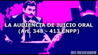 LA AUDIENCIA DE JUICIO ORAL  SISTEMA PENAL ACUSATORIO [upl. by Ram]