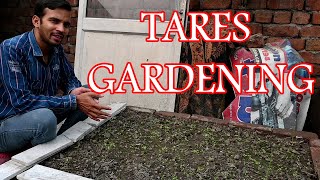 Tares gardening reality check taresgardening [upl. by Asinla808]