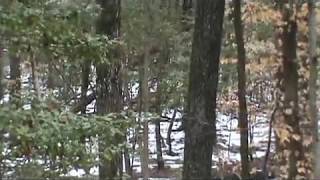 Muzzleloader Deer Hunt [upl. by Roots]