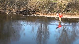 Single handed 45 degree double spey cast variation II [upl. by Ocnarf796]