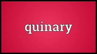 Quinary Meaning [upl. by Wernsman]