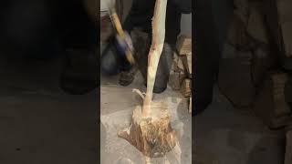 Making a Longbow Hand Tools Only [upl. by Karissa]