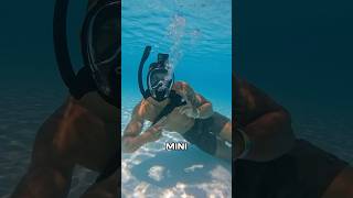 How to breathe underwater 🐠 underwater snorkeling fyp diving beach ocean [upl. by Annatnas]