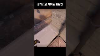 감시자로 사이트 뚫는법 valorant montage 발로란트 valorantclips gaming 발로란트매드무비 [upl. by Fifi]