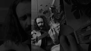 Dunkelheit  Burzum  Acoustic cover by Leiv Reed [upl. by Landan213]