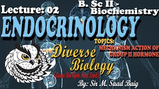 Lecture 2  MECHANISM ACTION OF GROUP II HORMONE  Hormones  B Sc II  Biochemistry  Paper 4 [upl. by Maroj]