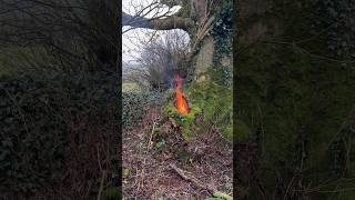 Building Warm Survival Fire Inside a TREE HOLE 🏕️🔥 nature survival [upl. by Akiam]