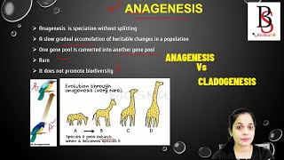 What is Anagenesis amp Cladogenesis [upl. by Adelia]