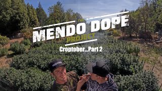 quotCroptober Part 2quot  The Mendo Dope Project Season 2 [upl. by Dole298]