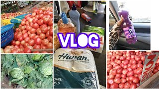 New Ruiru Market  Grocery Shopping Haul 🛍️ Come With Me 🤗 [upl. by Fanchet489]