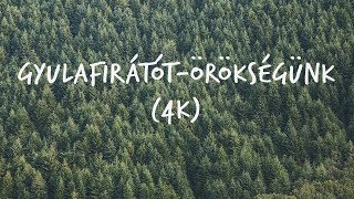 GYULAFIRÁTÓTÖRÖKSÉGÜNK 4K [upl. by Naesal]