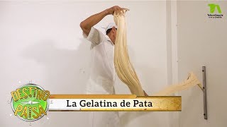 Destino Paisa La gelatina de pata en Hispania  Teleantioquia [upl. by Ialohcin]