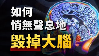 你的思維，為什麼總是「卡機」？硬核腦科學，揭開年輕人大腦混亂的四大元兇 [upl. by Ynnel]