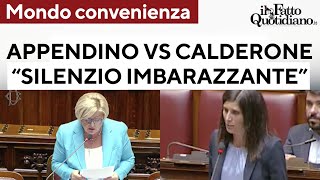 Mondo Convenienza Appendino attacca Calderone quotSilenzio è imbarazzante Cè sfruttamentoquot [upl. by Assilla]