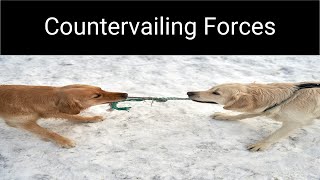 The Countervailing Forces Model [upl. by Corbet]