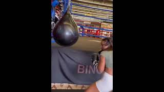 Coach Hanieh G has some scary power boxing heavybag hbc viralshort viralvideo [upl. by Mcferren]