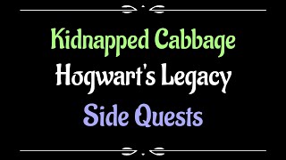 Lets Play  Everyquest  Hogwarts Legacy  Kidnapped Cabbage [upl. by Enyrat781]