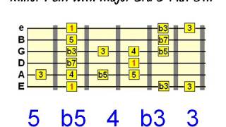 Guitar Scale Phrasing  Part 2  Chromaticism [upl. by Kaspar847]