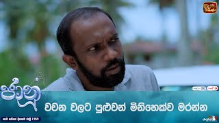 වචන වලට පුළුවන් මිනිහෙක්ව මරන්න [upl. by Ettevets]