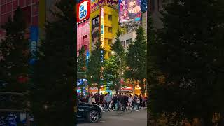 Akihabara Night ✨ Tokyo Walk ✨ 東京散歩 ✨ 秋葉原ナイト ✨ tokyo japan [upl. by Jolda52]