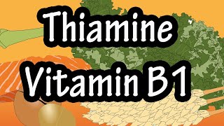 Vitamin B1 Thiamine Sources Active form Functions Absorption Transportation and Beriberi [upl. by Oilalue]