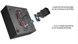 HASCO H107900 Valve Gate Shot [upl. by Monteria250]