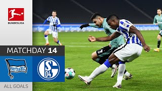 Strong Hertha with 3 Goals  Hertha Berlin  FC Schalke 04  30  All Goals [upl. by Ennaed]