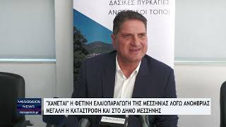 quotΧάνεταιquot η φετινή ελαιοπαραγωγή της Μεσσηνίας λόγω ανομβρίαςΜεγάλη η καταστροφή στο Δήμο Μεσσήνης [upl. by Hippel]