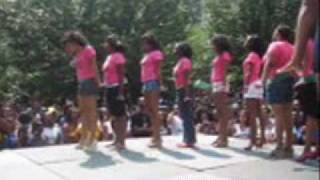 Atlanta Greek Picnic 2008 Stroll Off  Alpha Kappa Alpha AKA [upl. by Fionna]