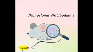 Monoclonal antibodies Why everyones talking about it [upl. by Anairuy780]