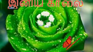 Happy Wedding Anniversary Wishes in Tamil Marriage GreetingsQuotes Whatsapp Video Download [upl. by Rebmetpes]