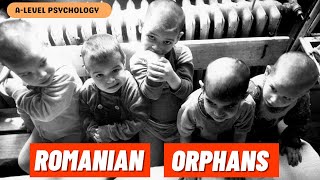 What HAPPENED to the Romanian Orphans [upl. by Dew996]