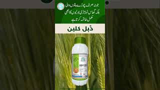 Solex cutout weedicide Solex double clean weedicide Solex chemicals multan increase wheat yield [upl. by Hsan27]