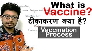 What is vaccination  vaccine kya hai  How vaccines work [upl. by Mainis]