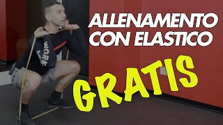 Allenamento gratuito con Elastico da fare a casa [upl. by Selimah]