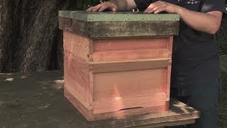 How to Make your Own Beehive [upl. by Ahsenrac]