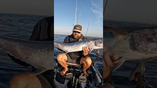 These comments are wild kayakfishing offshorekayakfishing florida fishing hobieproangler [upl. by Venola834]