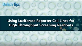 Using Luciferase Reporter Cell Lines for High Throughput Screening Readouts [upl. by Pulchi394]