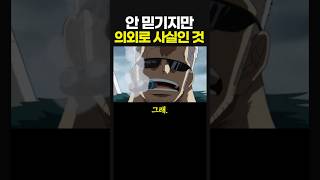 원피스 안 믿기지만 의외로 사실인 것 [upl. by Annitsirhc]