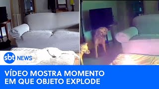 Cachorro causa incêndio ao mastigar carregador portátil Bombeiros fazem alerta [upl. by Arait]