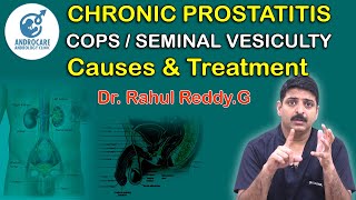 Chronic ProstatitisCPPS Seminal VesiculitisCauses And Treatment Dr Rahul Reddy  Androcare [upl. by Shulins895]