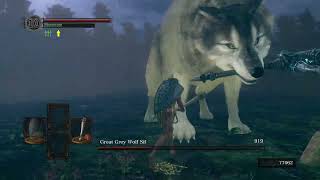 Great Grey Wolf Sif  SL1 No rollblockparry Flawless [upl. by Ramedlav]