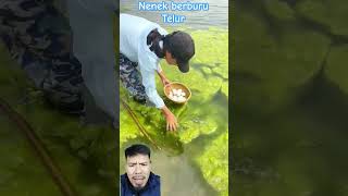 NENEK BERBURU TELUR fishing fish egg food [upl. by Bound797]