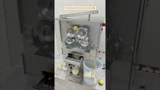 Lemon Juice Machine  Automatic Lime Juice Machine  Lemon Juice Packaging Business [upl. by Braynard]