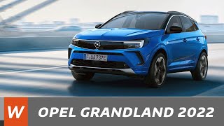 OPEL Grandland 2022  les premières images [upl. by Coughlin288]