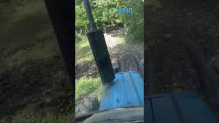 Trailer pulling into woods tractor 6810 [upl. by Glynias]