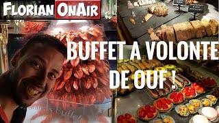 A VOLONTE On DEPOUILLE le  GRAND BUFFET dEUROPE  VLOG 600 [upl. by Pillihp524]