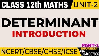 CLASS 12 MathsDeterminantCBSECHSEICSCINTRODUCTIONIN HINDI FULL EXPLANATION PART1 [upl. by Eiramlehcar803]