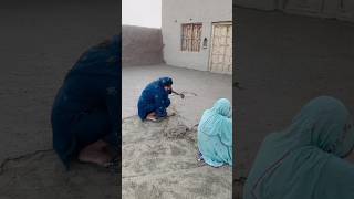 rozina vlogs villagelife seharalvi bajikalo [upl. by Thatcher]