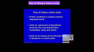 Fate of Dietary Amino Acids Metabolism Made Easy [upl. by Ahsakal431]